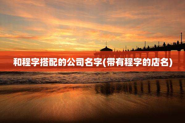 和程字搭配的公司名字(带有程字的店名)