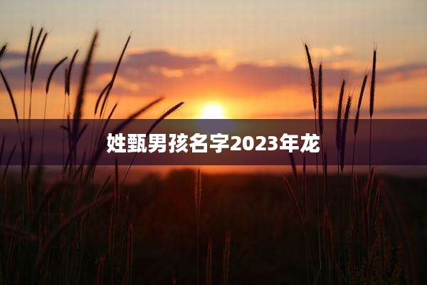 姓甄男孩名字2023年龙