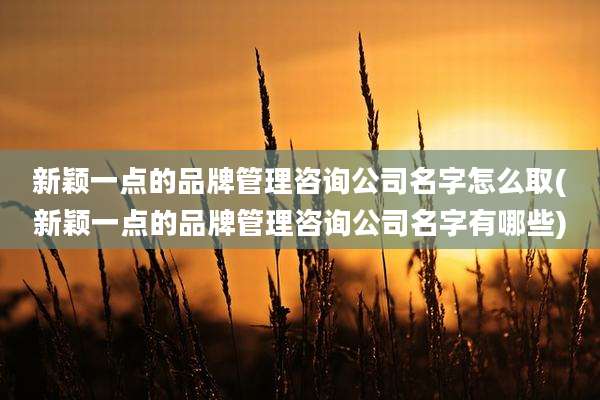 新颖一点的品牌管理咨询公司名字怎么取(新颖一点的品牌管理咨询公司名字有哪些)