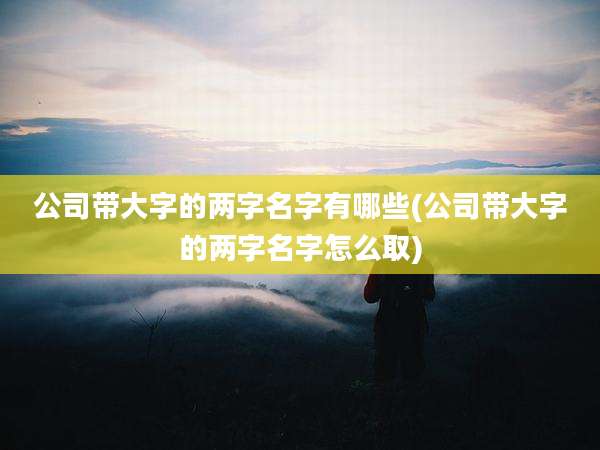 公司带大字的两字名字有哪些(公司带大字的两字名字怎么取)