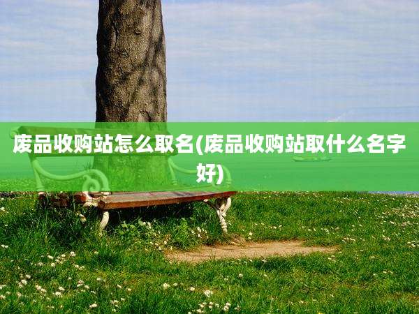 废品收购站怎么取名(废品收购站取什么名字好)