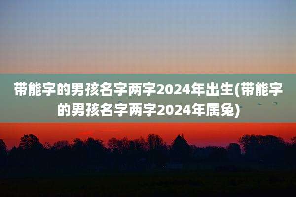 带能字的男孩名字两字2024年出生(带能字的男孩名字两字2024年属兔)