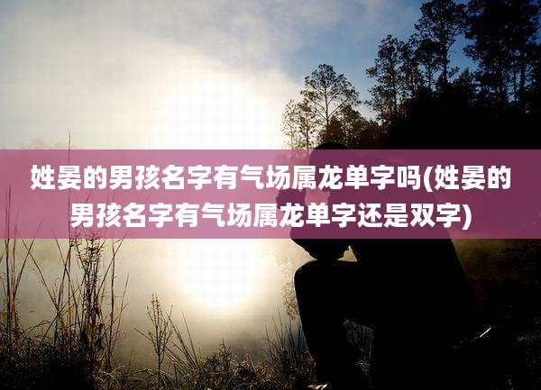 姓晏的男孩名字有气场属龙单字吗(姓晏的男孩名字有气场属龙单字还是双字)