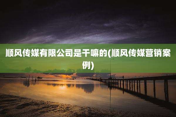 顺风传媒有限公司是干嘛的(顺风传媒营销案例)