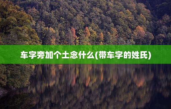 车字旁加个土念什么(带车字的姓氏)