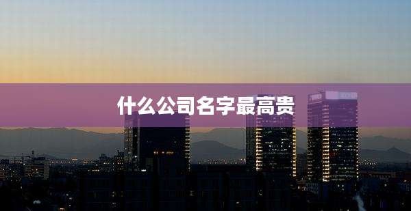 什么公司名字最高贵