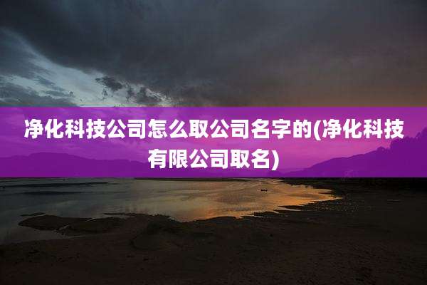 净化科技公司怎么取公司名字的(净化科技有限公司取名)