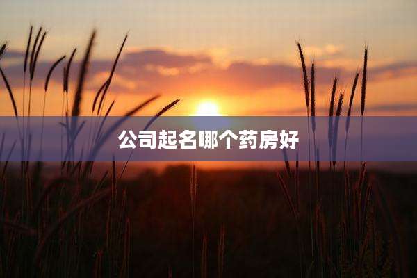 公司起名哪个药房好