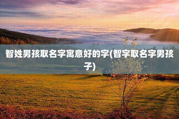 智姓男孩取名字寓意好的字(智字取名字男孩子)