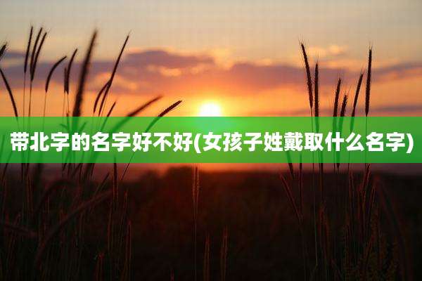 带北字的名字好不好(女孩子姓戴取什么名字)