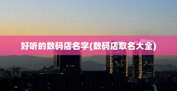 好听的数码店名字(数码店取名大全)