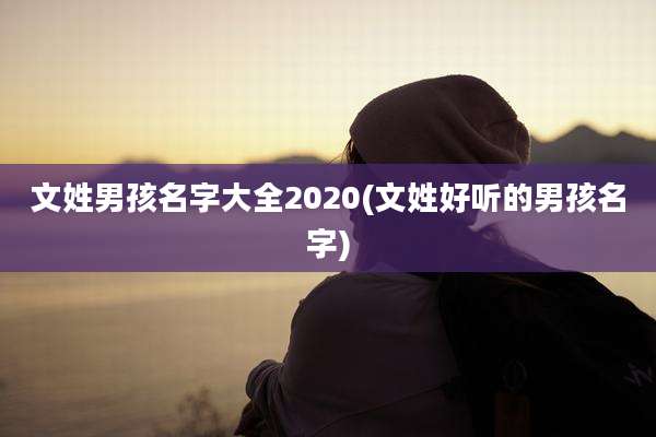 文姓男孩名字大全2020(文姓好听的男孩名字)