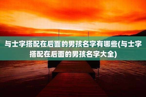 与士字搭配在后面的男孩名字有哪些(与士字搭配在后面的男孩名字大全)