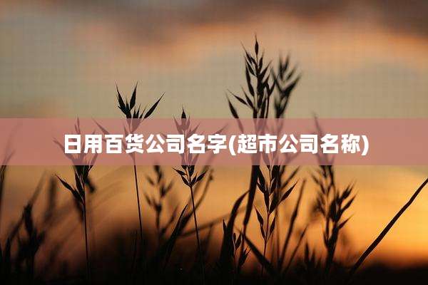 日用百货公司名字(超市公司名称)
