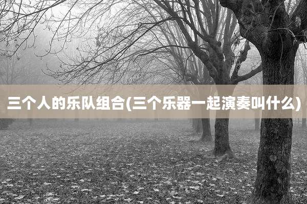 三个人的乐队组合(三个乐器一起演奏叫什么)
