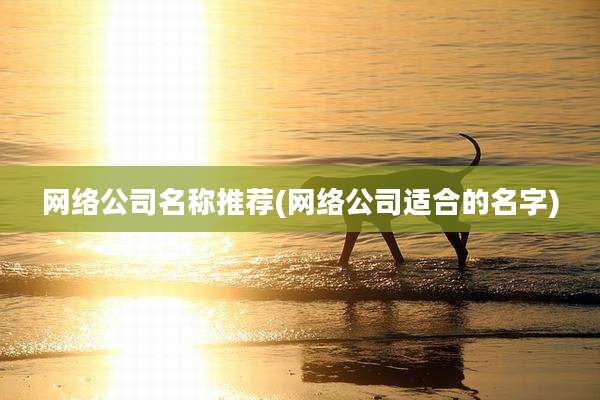 网络公司名称推荐(网络公司适合的名字)
