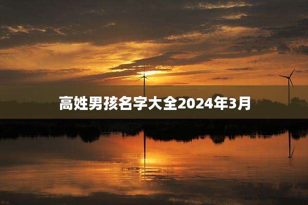 高姓男孩名字大全2024年3月