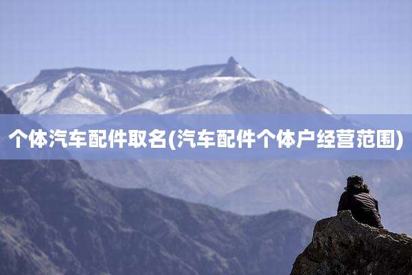 个体汽车配件取名(汽车配件个体户经营范围)