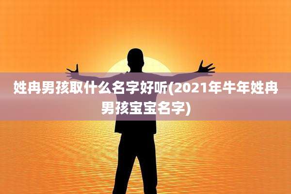 姓冉男孩取什么名字好听(2021年牛年姓冉男孩宝宝名字)