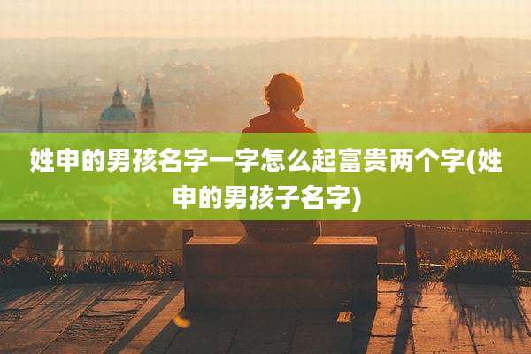 姓申的男孩名字一字怎么起富贵两个字(姓申的男孩子名字)