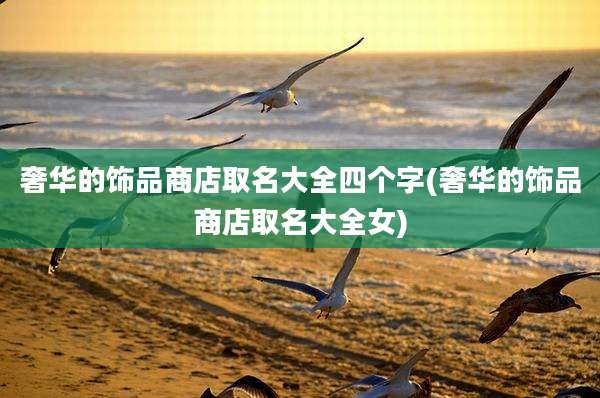 奢华的饰品商店取名大全四个字(奢华的饰品商店取名大全女)
