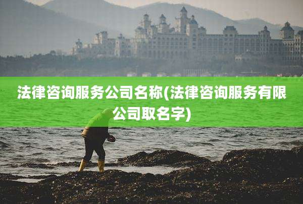 法律咨询服务公司名称(法律咨询服务有限公司取名字)