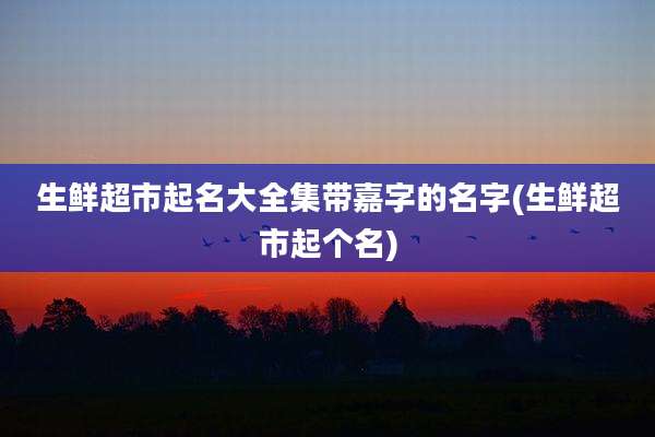 生鲜超市起名大全集带嘉字的名字(生鲜超市起个名)