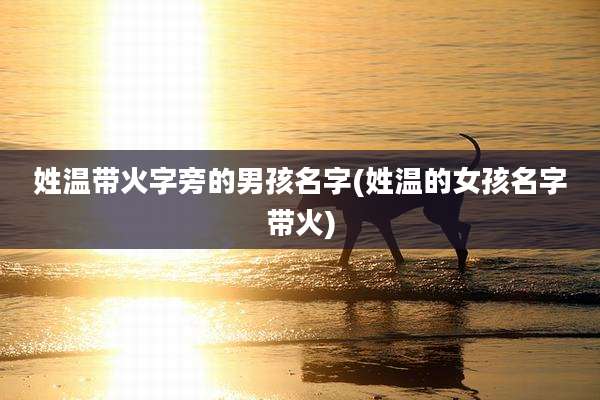 姓温带火字旁的男孩名字(姓温的女孩名字带火)