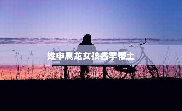 姓申属龙女孩名字带土