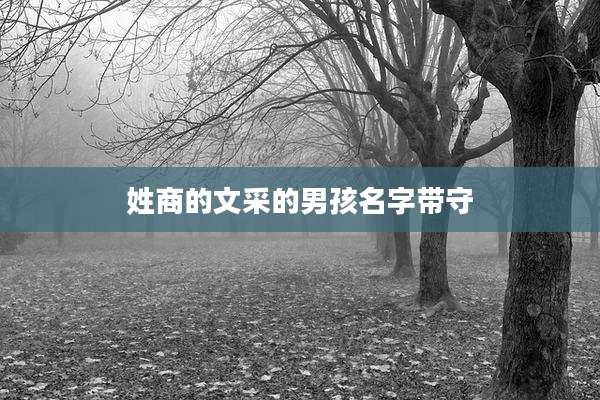 姓商的文采的男孩名字带守