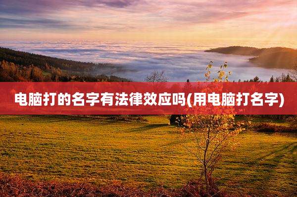 电脑打的名字有法律效应吗(用电脑打名字)