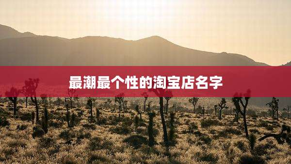 最潮最个性的淘宝店名字