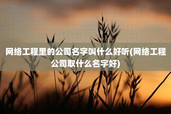 网络工程里的公司名字叫什么好听(网络工程公司取什么名字好)