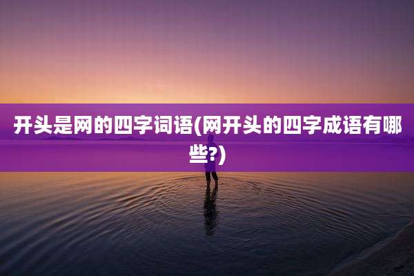 开头是网的四字词语(网开头的四字成语有哪些?)