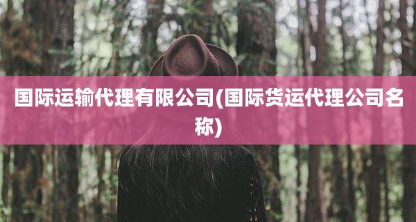 国际运输代理有限公司(国际货运代理公司名称)