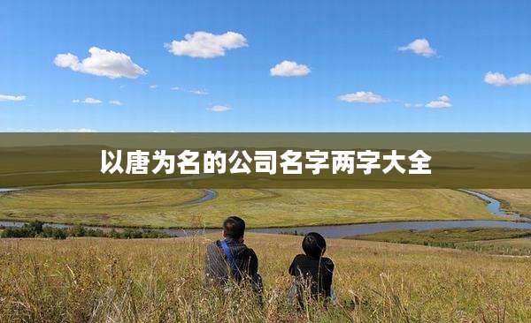 以唐为名的公司名字两字大全