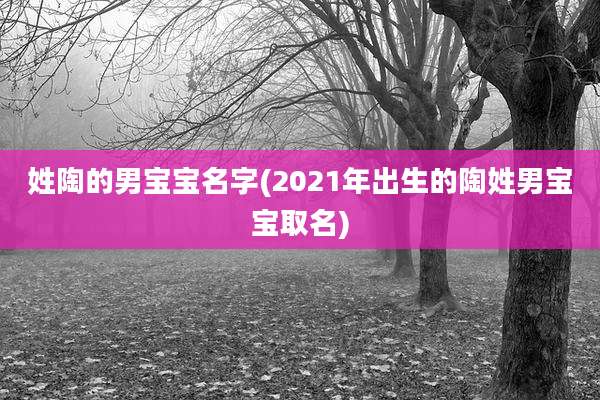 姓陶的男宝宝名字(2021年出生的陶姓男宝宝取名)