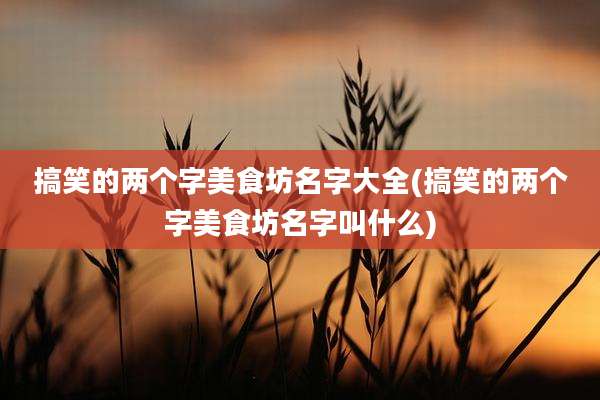 搞笑的两个字美食坊名字大全(搞笑的两个字美食坊名字叫什么)