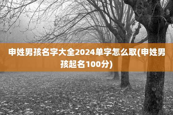 申姓男孩名字大全2024单字怎么取(申姓男孩起名100分)