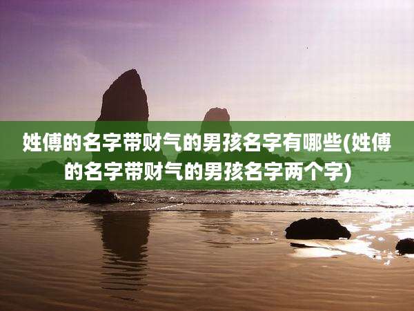 姓傅的名字带财气的男孩名字有哪些(姓傅的名字带财气的男孩名字两个字)