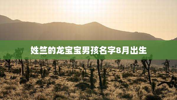 姓竺的龙宝宝男孩名字8月出生