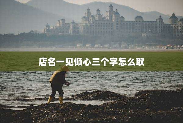 店名一见倾心三个字怎么取
