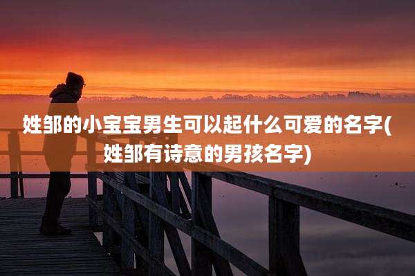 姓邹的小宝宝男生可以起什么可爱的名字(姓邹有诗意的男孩名字)
