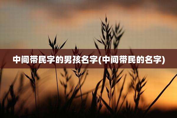 中间带民字的男孩名字(中间带民的名字)