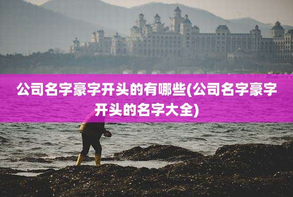 公司名字豪字开头的有哪些(公司名字豪字开头的名字大全)