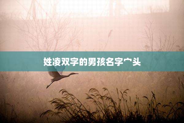 姓凌双字的男孩名字宀头