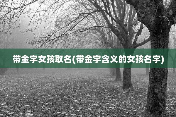 带金字女孩取名(带金字含义的女孩名字)