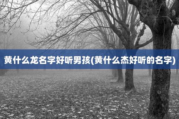 黄什么龙名字好听男孩(黄什么杰好听的名字)