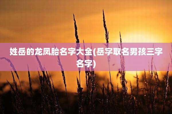 姓岳的龙凤胎名字大全(岳字取名男孩三字名字)