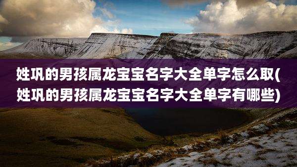 姓巩的男孩属龙宝宝名字大全单字怎么取(姓巩的男孩属龙宝宝名字大全单字有哪些)